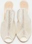 Gianvito Rossi Pre-owned Mesh sandals White Dames - Thumbnail 3