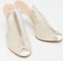 Gianvito Rossi Pre-owned Mesh sandals White Dames - Thumbnail 4