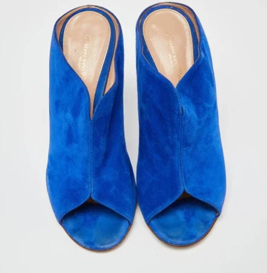 Gianvito Rossi Pre-owned Suede mules Blue Dames