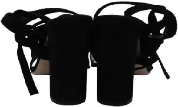 Gianvito Rossi Pre-owned Suede sandals Black Dames