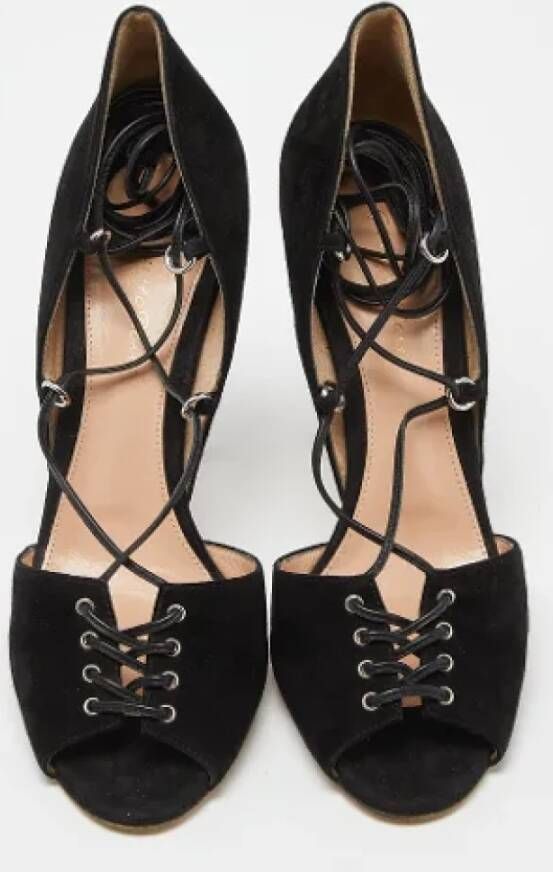 Gianvito Rossi Pre-owned Suede sandals Black Dames