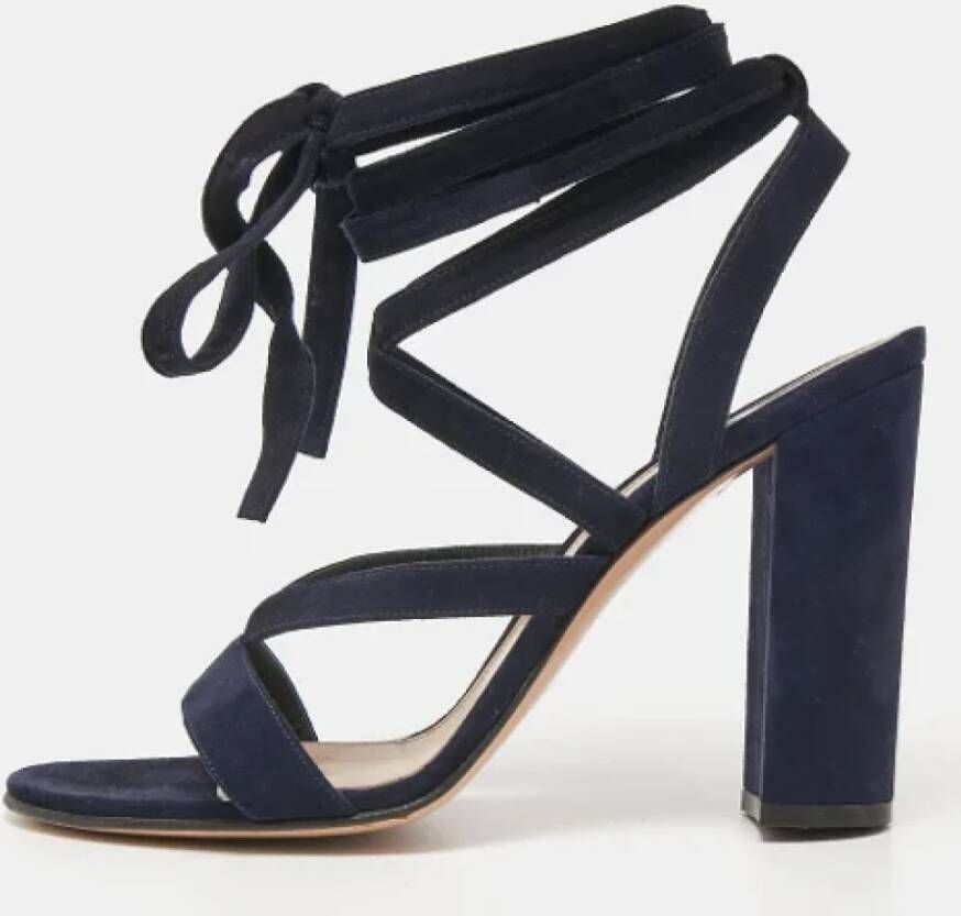 Gianvito Rossi Pre-owned Suede sandals Blue Dames