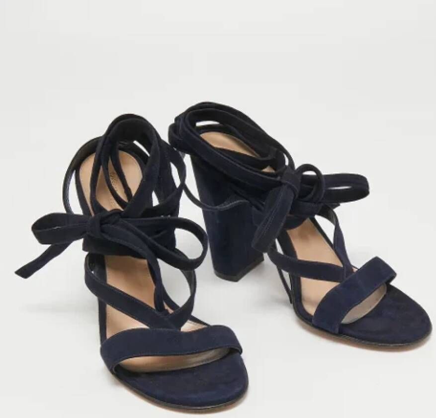 Gianvito Rossi Pre-owned Suede sandals Blue Dames