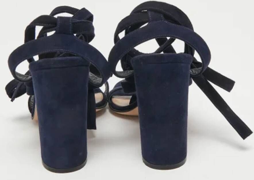 Gianvito Rossi Pre-owned Suede sandals Blue Dames