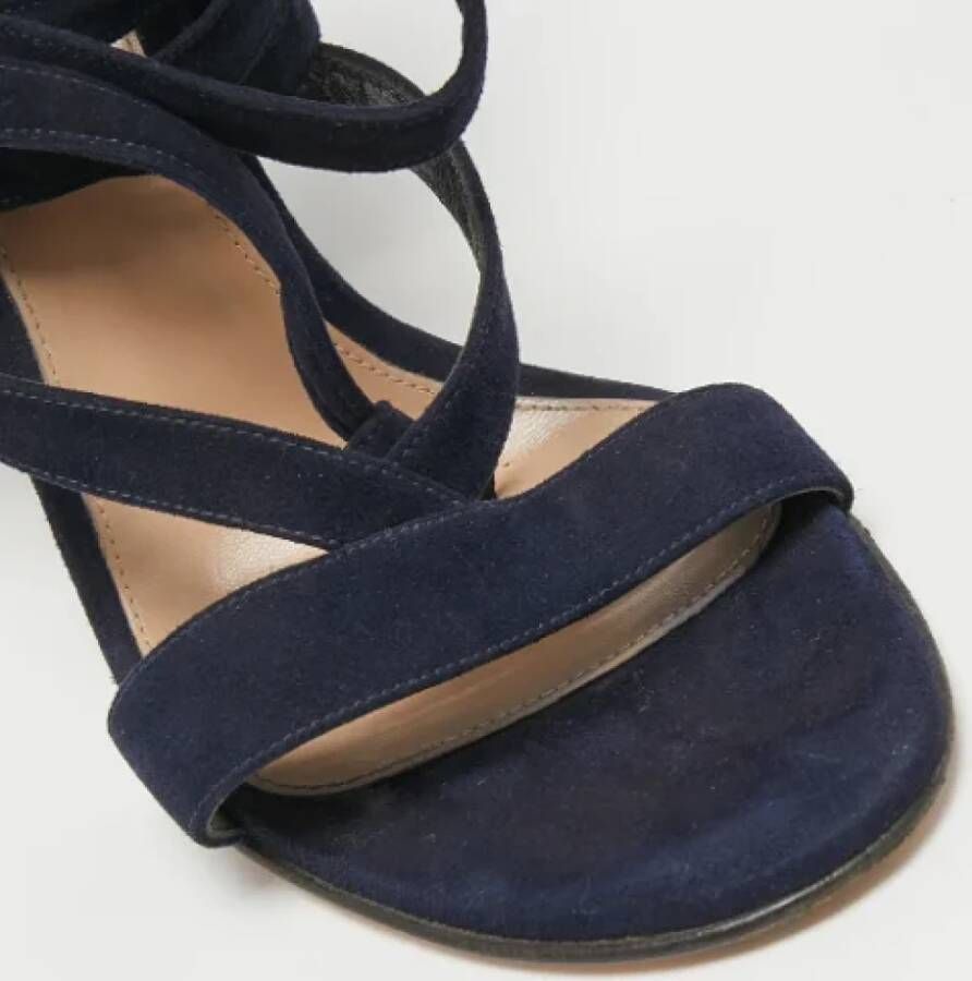 Gianvito Rossi Pre-owned Suede sandals Blue Dames