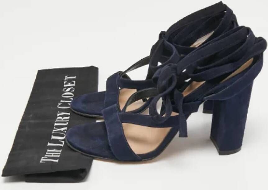 Gianvito Rossi Pre-owned Suede sandals Blue Dames