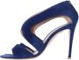 Gianvito Rossi Pre-owned Suede sandals Blue Dames - Thumbnail 3