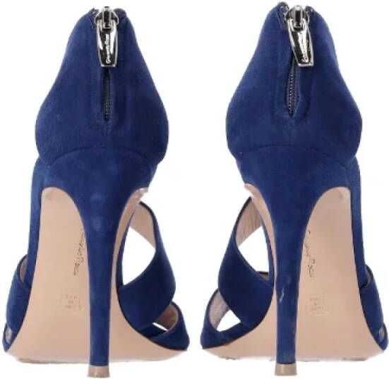 Gianvito Rossi Pre-owned Suede sandals Blue Dames