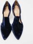 Gianvito Rossi Pre-owned Velvet heels Blue Dames - Thumbnail 3