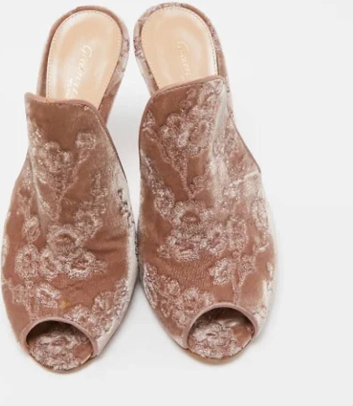 Gianvito Rossi Pre-owned Velvet mules Beige Dames