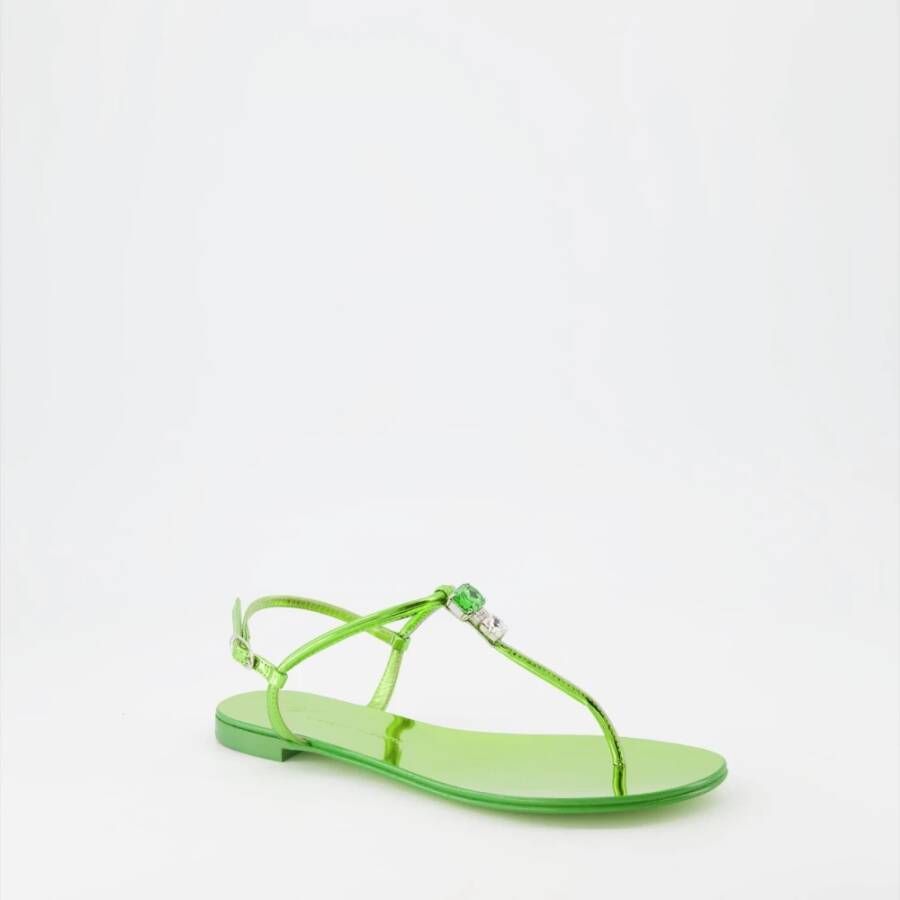 giuseppe zanotti Groene Spiegel Leren Sandalen Green Dames