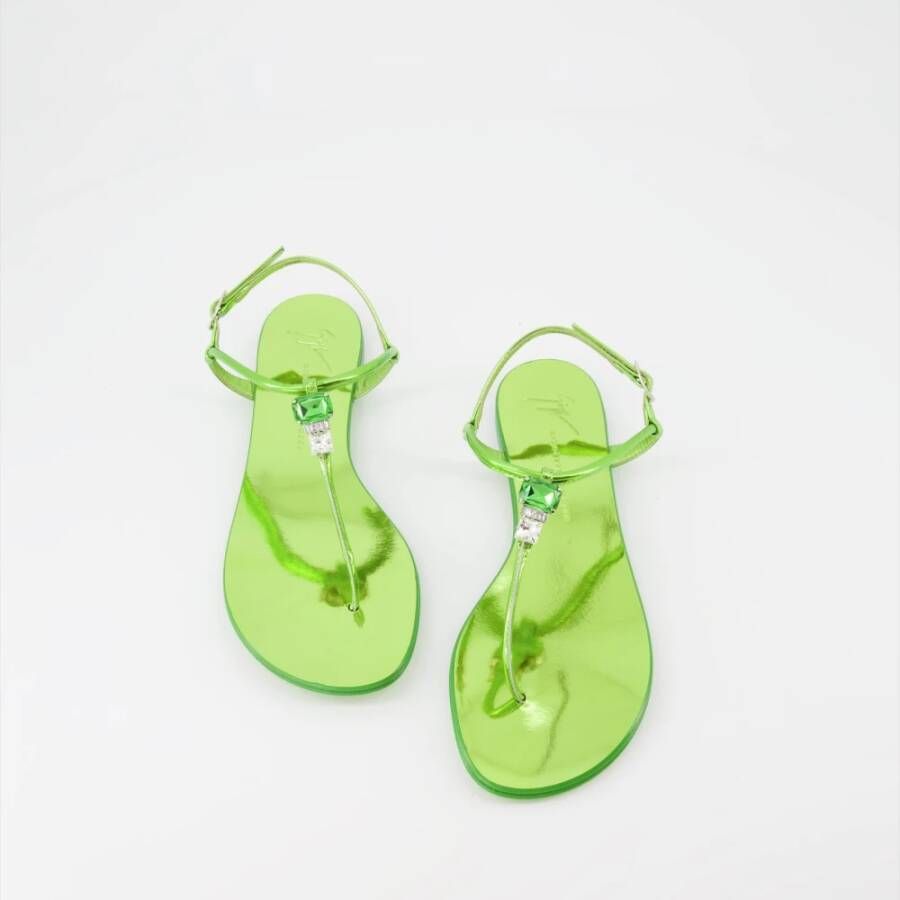 giuseppe zanotti Groene Spiegel Leren Sandalen Green Dames