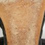 Giuseppe Zanotti Pre-owned Canvas sandals Black Dames - Thumbnail 8