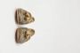 Giuseppe Zanotti Pre-owned Leather flats Multicolor Dames - Thumbnail 8