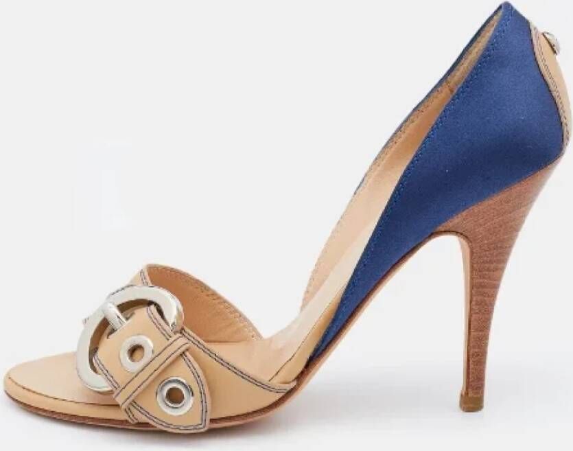 Giuseppe Zanotti Pre-owned Leather sandals Blue Dames