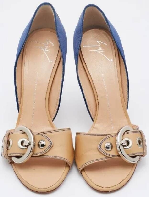 Giuseppe Zanotti Pre-owned Leather sandals Blue Dames