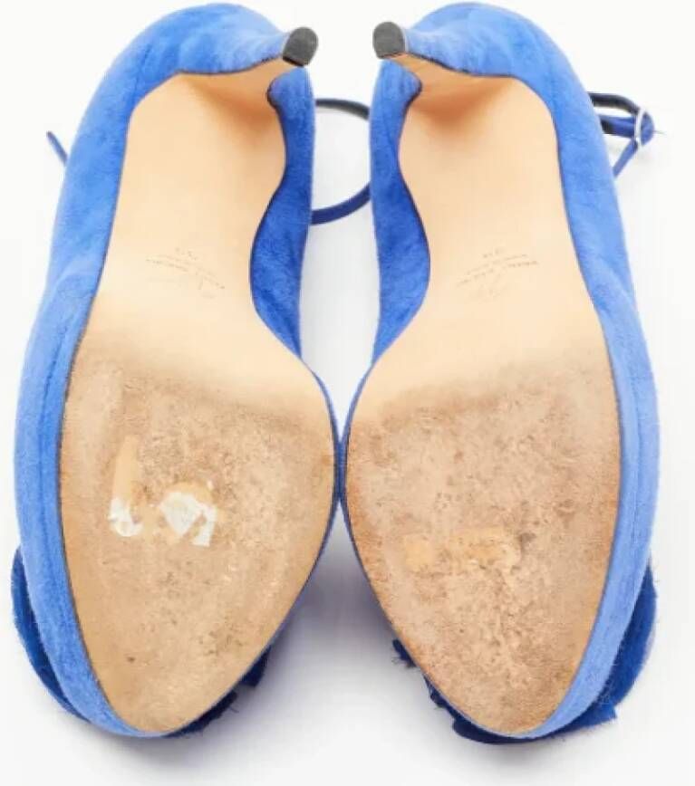 Giuseppe Zanotti Pre-owned Suede heels Blue Dames