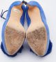 Giuseppe Zanotti Pre-owned Suede heels Blue Dames - Thumbnail 6