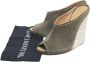 Giuseppe Zanotti Pre-owned Suede sandals Gray Dames - Thumbnail 8