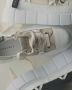 INUIKII Low-Top Sneakers MATILDA CANVAS LOW in beige - Thumbnail 3
