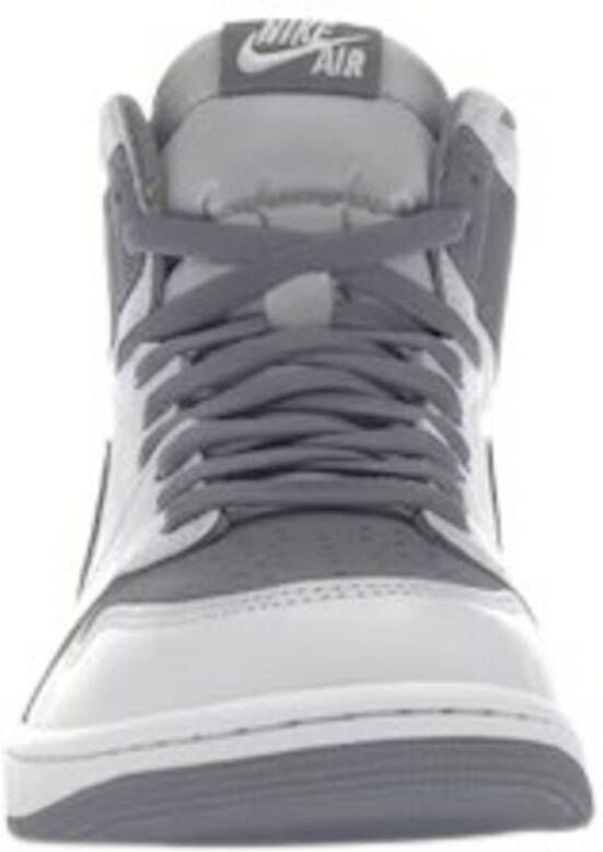 Jordan Sneakers Grijs Heren