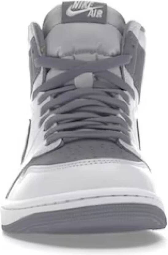 Jordan 1 Retro High Stealth Grijs Heren