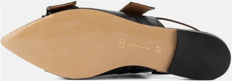 L37 Ballerina`s