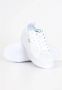 Lacoste Dames Ziane Plus Sneaker Wit White Dames - Thumbnail 13