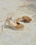 Manebí Sleehakken Beige Dames - Thumbnail 9