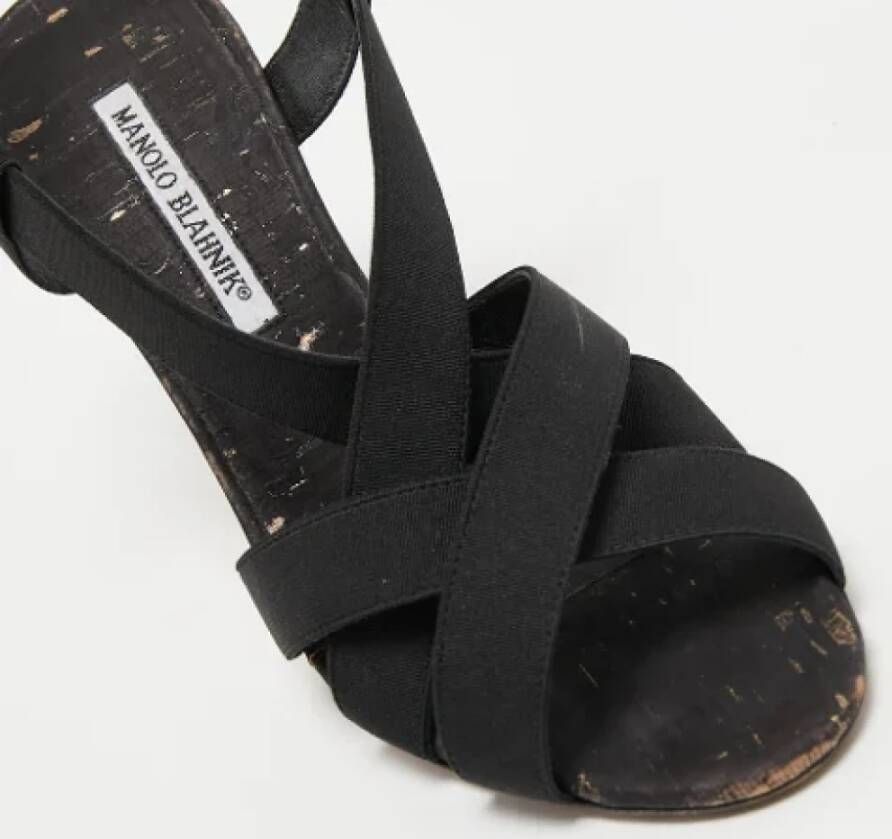 Manolo Blahnik Pre-owned Fabric sandals Black Dames