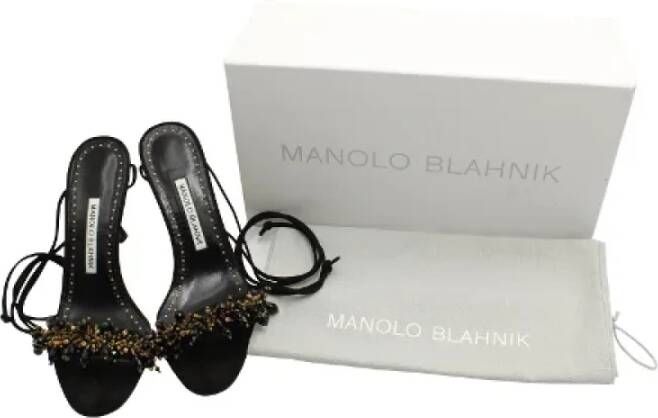 Manolo Blahnik Pre-owned Leather sandals Black Dames