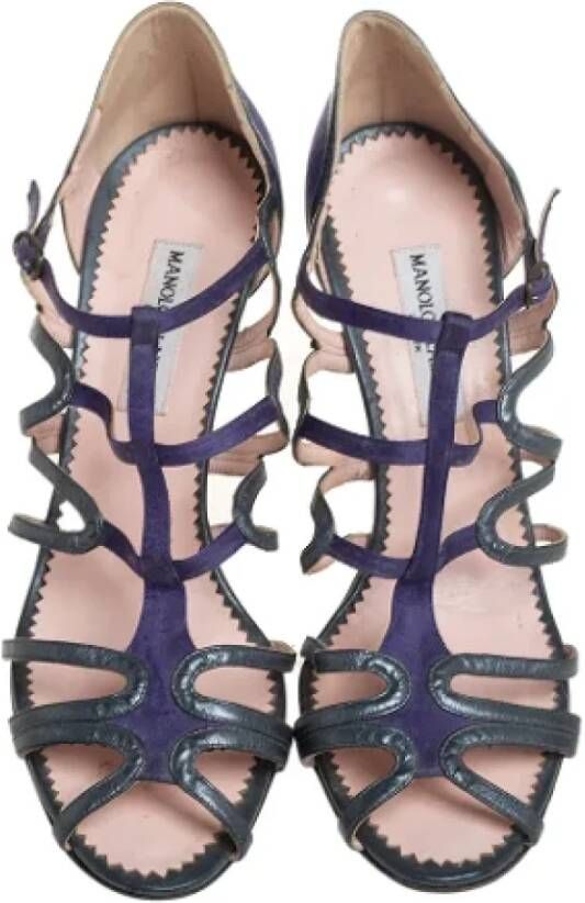 Manolo Blahnik Pre-owned Leather sandals Purple Dames