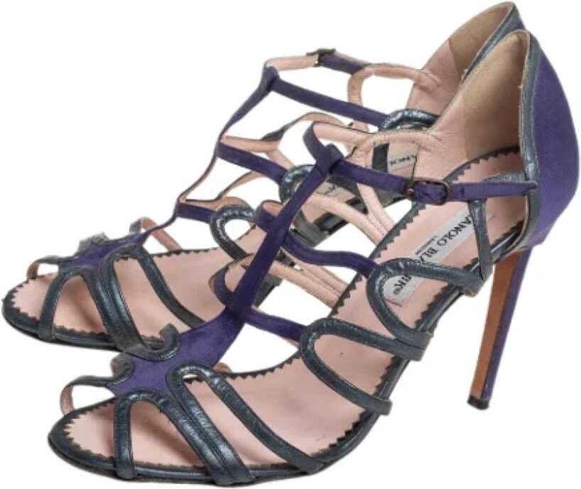 Manolo Blahnik Pre-owned Leather sandals Purple Dames