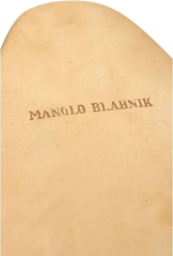 Manolo Blahnik Pre-owned Suede flats Blue Dames
