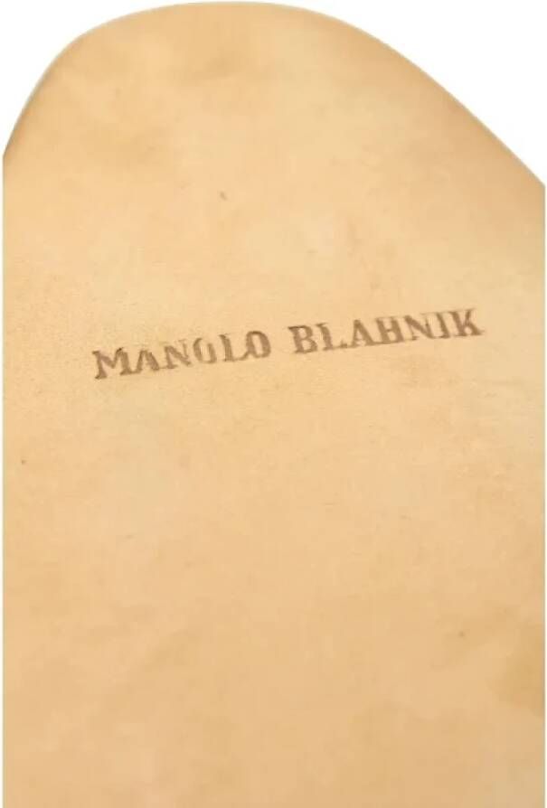 Manolo Blahnik Pre-owned Suede flats Multicolor Dames