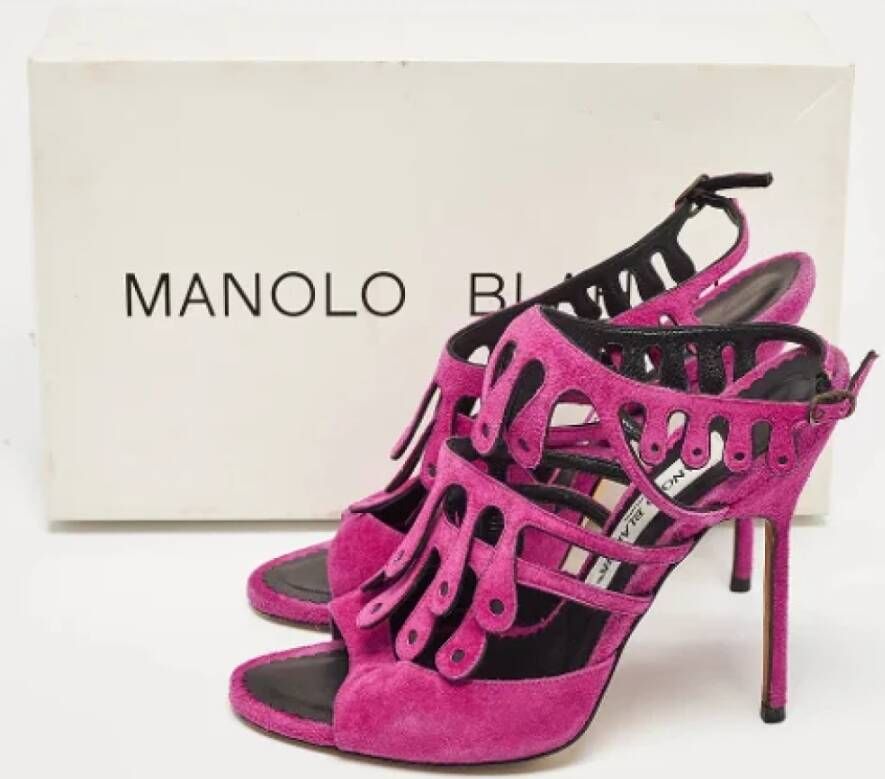 Manolo Blahnik Pre-owned Suede sandals Purple Dames