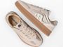 Maruti Yale Suede taupe gold sneakers Goud Leer Lage sneakers Dames - Thumbnail 11