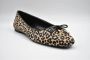 Michael Kors Leopardprint Nori Leren Ballerina Multicolor Dames - Thumbnail 7