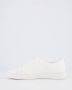 Michael Kors Dames Kearon Sneaker Wit White Dames - Thumbnail 7