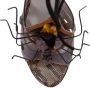 Miu Pre-owned Leather sandals Gray Dames - Thumbnail 6