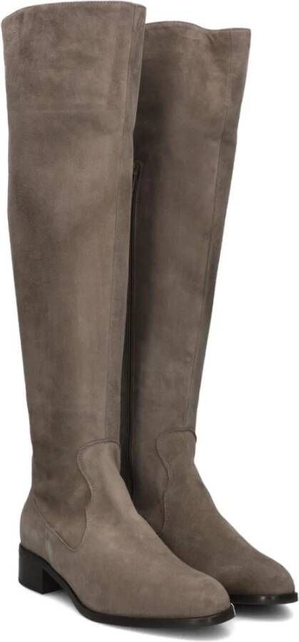 Nalini Suède Taupe Dameslaarzen Brown Dames