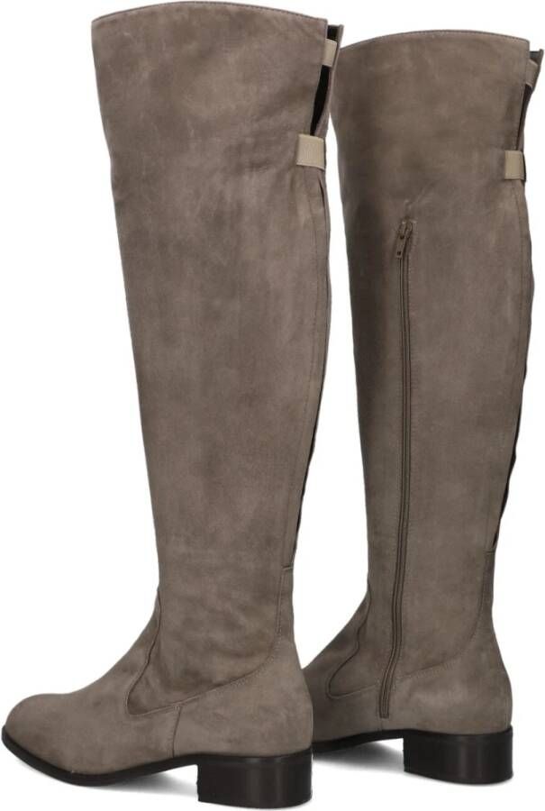 Nalini Suède Taupe Dameslaarzen Brown Dames