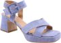 Nando Neri Hoge hak sandalen voor vrouwen Blue Dames - Thumbnail 21