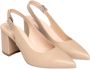 Nerogiardini Zwarte Slingback Décolleté Schoenen Black Dames - Thumbnail 3