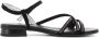 Nerogiardini Zwarte Lage Hak Sandalen voor Vrouwen Black Dames - Thumbnail 13