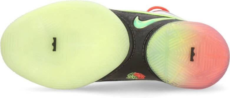 Nike Basketbalschoen Lebron Xxii Tunnel Vision Multicolor Heren