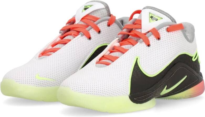 Nike Basketbalschoen Lebron Xxii Tunnel Vision Multicolor Heren