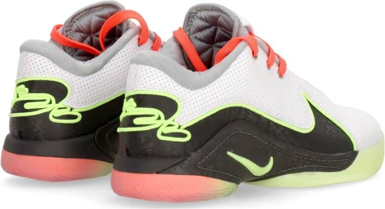 Nike Basketbalschoen Lebron Xxii Tunnel Vision Multicolor Heren