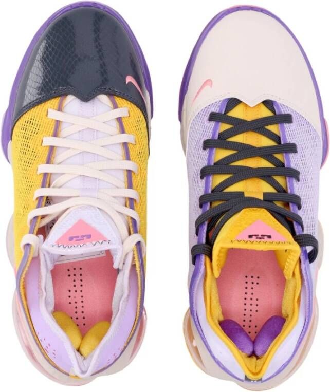 Nike Lage Basketbalschoen Lila Roze Multicolor Heren