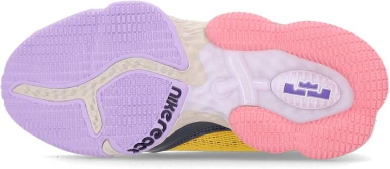 Nike Lage Basketbalschoen Lila Roze Multicolor Heren